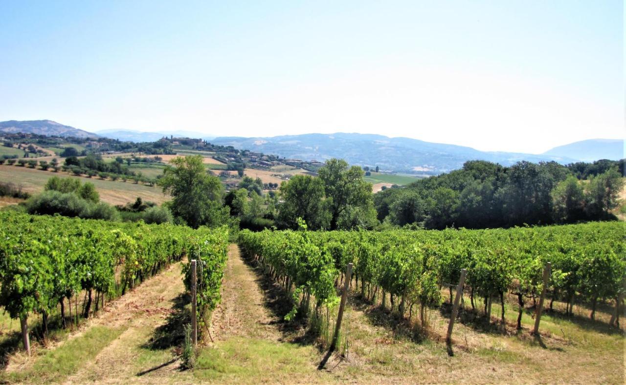 Residenza Storica Con Vista Panoramica Daire Perugia Dış mekan fotoğraf